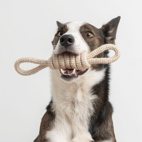 Stocking Stuffer Deals with Special Free Items Included Knot Rope, Rope Dog Toys, Rope Dog, Interactive Dog Toys, Dog Teeth, Hemp Rope, Heart Frame, Dog Images, Dog Themed