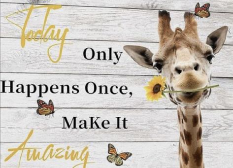 Giraffe Quotes, Good Morning Animals, Good Morning Winter, Giraffe Pictures, Hugs And Kisses Quotes, Happy Day Quotes, Realist Quotes, Good Morning Funny Pictures, Positive Vibes Quotes