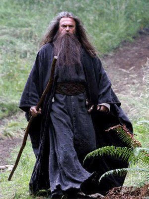 Merlin 1998, Medieval Wizard, Costume Poses, Wizard Robes, Sam Neill, Ren Faire Costume, Wizard Costume, Dark Wizard, Fantasy Wizard