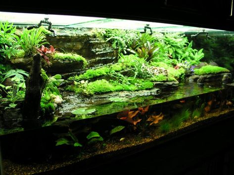 Sandbox Diy, Turtle Tanks, Terrarium Succulent, Fish Tank Terrarium, Turtle Habitat, Turtle Pond, Aquarium Terrarium, Aquarium Landscape, Reptile Terrarium