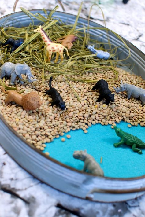 Safari Small World Play 2020 | Entertain Your Toddler Safari Small World Play, World Animal Day Activities, Small World Ideas, Lion Activities, Zoo Sensory, Jungle Animals Preschool, Jungle Activities, Joy School, Curiosity Approach