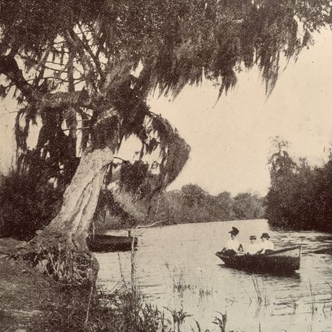 1930s New Orleans, New Orleans 1800s, 1910s New Orleans, Louisiana Swamp Aesthetic, New Orleans Vintage, Houma Louisiana, Southern Gothic Louisiana, Abandoned Louisiana, Southern Things