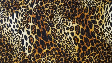 Cheetah Print Background, Famous Wallpaper, Leopard Print Background, Leopard Print Wallpaper, Cheetah Print Wallpaper, Animal Print Background, Iphone Wallpaper Vsco, Laptop Wallpaper Desktop Wallpapers, Wallpaper Print