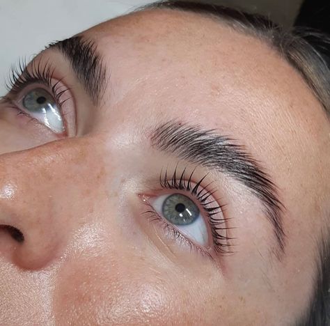 Lash Lift Brow Lamination, Lash And Brow Lamination, Brow And Lash Lamination, Lamination Lashes, Lash And Brow Lift, Lash Lamination, Lvl Lashes, Vision 2025, Brow Styling