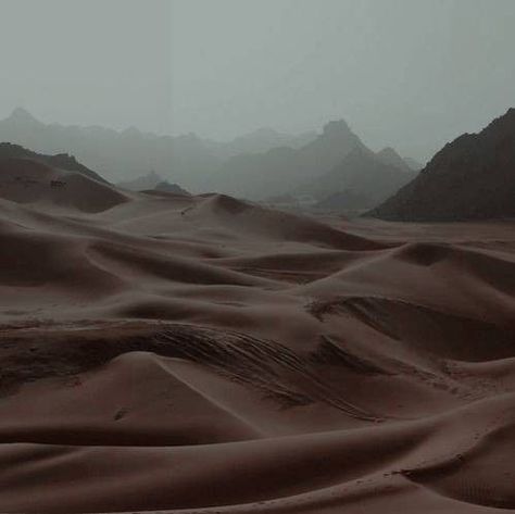 Arrakis Dune Aesthetic, Arabian Desert Aesthetic, Howleen Wolf, Ancient Egyptian Deities, Egypt Aesthetic, Half Elf, Paul Atreides, Auld Lang Syne, Catty Noir