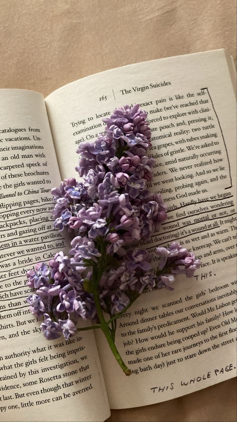 #aesthetic #lilac #book #books #bookworm #thevirginsuïcides #flowers #flower #spring #plants #plant #tree #trees Wilted Flowers Aesthetic, Lilac Book, Purple Flower Aesthetic, Wilted Flowers, Lilac Tree, Spring Plants, Plant Tree, Flowers Aesthetic, Love More