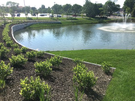 Keeping Retention Ponds Healthy-A Deeper look at the Issues & Failures of a BMP Algae Bloom, House Structure Design, Retention Pond, Hardy Hibiscus, Pond Maintenance, Redbud Tree, Pond Landscaping, Backyard Water Feature, Wichita Kansas