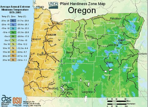 USDA Hardiness Zone Map For Oregon - The Garden Magazine Planting Zones Map, Vegetable Planting Calendar, Oregon Map, Plant Hardiness Zone Map, When To Plant Vegetables, Planting Calendar, Climate Zones, Gardening Zones, Plant Zones