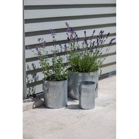 Galvanised Steel Round Garden Planters / Set Of Three Bamboo Decking, Garden Lounge Chairs, Metal Garden Benches, Indoor Watering Can, Rectangle Planters, Stone Plant, Favourite Flowers, Bamboo Garden, Garden Steps