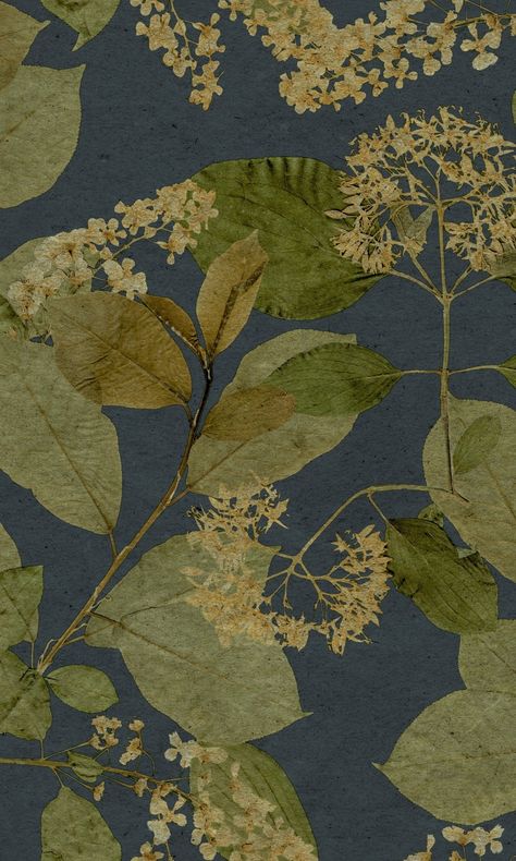 Midnight Blue Tropical Leaves Wallpaper R9132 – Walls Republic US Nature Wallpaper For Walls Interiors, Juniper Forest Wallpaper Bathroom, Built In With Wallpaper Back, Wallpaper In Master Bath, Cottage Bathroom Wallpaper, Wallpaper Backgrounds Navy Blue, Wallpaper On Ceiling Bathroom, Wallpaper Ceiling Dining Room, English Country Wallpaper