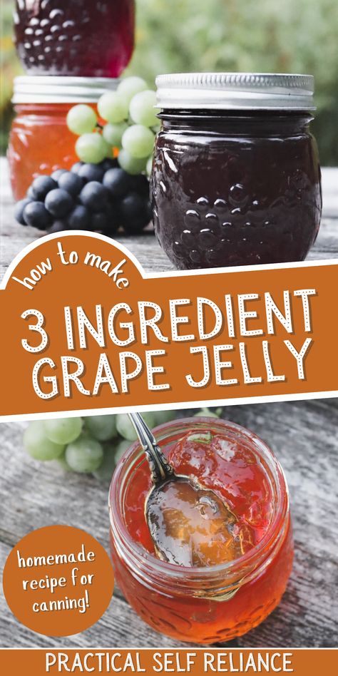 How to Make 3 Ingredient Grape Jelly - If you're looking for grape jelly recipes for canning, you'll love this homemade grape jelly. Learn how to make homemade grape jelly from fresh grapes or grape juice, pectin, and sugar. Incudes easy, step by step instructions for canning! Homemade Grape Jelly From Juice, Recipe For Grape Jelly, Grape Juice Jelly Canning Recipe, Grape Jelly For Canning, Easy Homemade Grape Jelly, Grape Jelly Homemade, Fresh Grape Jelly Recipe, Healthy Grape Jelly, Canning Grape Jelly From Juice