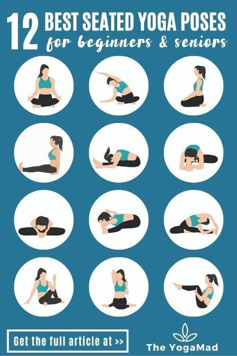 Yoga Poses For Seniors, Gentle Yoga Sequence, Seated Yoga, Seated Yoga Poses, Yoga Poses Chart, Hata Yoga, Spinal Health, Basic Yoga Poses, Yoga For Seniors