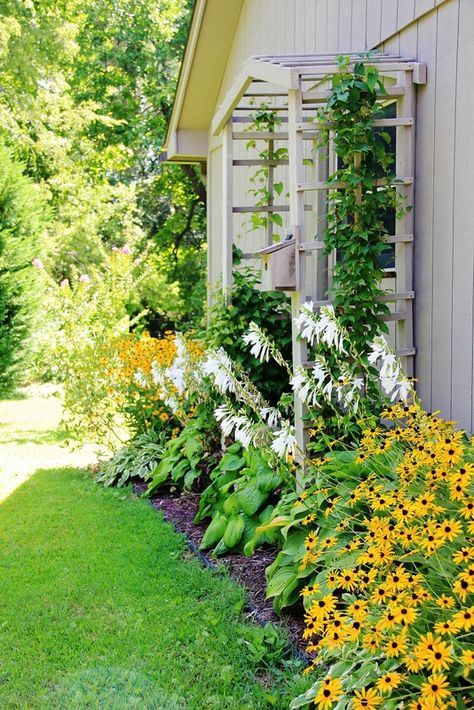 Colorful Garden-Inspired Home Tour Wall Climbing Plants, Garden Arbor, Garden Wallpaper, Side Garden, Side Yard, Climbing Roses, House Landscape, Climbing Plants, Colorful Garden