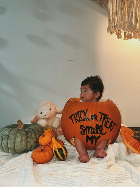 Baby Halloween Photoshoot, Halloween Photoshoot Ideas, Baby Pumpkin, Halloween Photoshoot, Baby In Pumpkin, Baby Photo, Baby Halloween, Photoshoot Ideas, Baby Photos