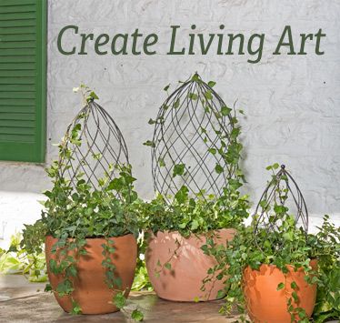 Create Living Art:#Twist #Topiary #Frames Topiary Animals, Topiary Frames, Pot Trellis, Screen Porches, Planter Trellis, Topiary Plants, Garden Obelisk, Topiary Garden, Garden Vines