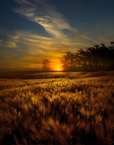 Distance | Flickr - Photo Sharing! Prairie Art, Prairie Sunset, Very Beautiful Images, Breathtaking Photography, Beautiful Skies, Breathtaking Beauty, Beautiful Scenery, Apartment Ideas, Image Photography