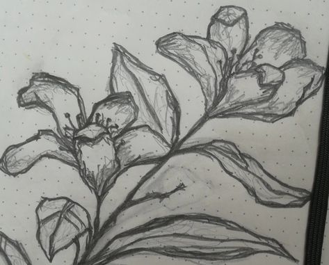 #sketch #flowers #drawing #grunge #style #roughsketch #flowersketch #art #artist #pinterest Flowers Grunge, Draw Flowers, Flowers Drawing, Grunge Style, Flower Drawing, Art Artist, Doodles, Sketch, Drawings