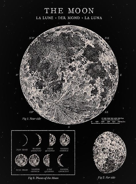 Astronomy Poster, Printable Wall Collage, Grunge Posters, 달력 디자인, Cool Optical Illusions, Vintage Poster Design, Moon Poster, Moon Moon, Poster Room