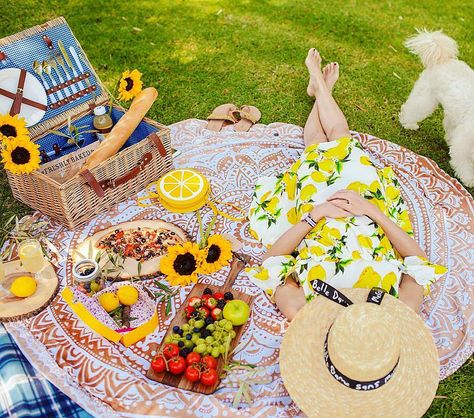 731 Likes, 50 Comments - inArabyMay-Travel & Style Blog (@mayandtravel) on Instagram: “Our family loves outdoor picnics!!! #picnicstyle #lemon #sunshine #picnicideas…” Bright Summer Aesthetic, Sunflower Picnic, Aesthetic Picnic, Picnic Inspiration, Picnic Style, Romantic Picnics, Creative Photoshoot Ideas, Fruit Flowers, Beach Cover Ups