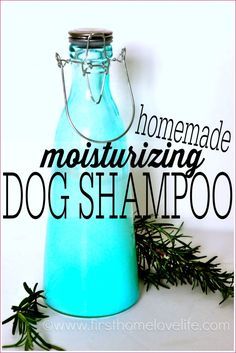 NO MORE STINKY DOG! This homemade dog shampoo is super moisturizing, and leaves your pets fur looking and feeling great! #PETS #DIY Dog Shampoo Recipe, Diy Dog Shampoo, Homemade Dog Shampoo, Diy Chat, Stinky Dog, Petit Basset Griffon Vendeen, Shampoo Recipe, Dog Info, Dog Shampoo