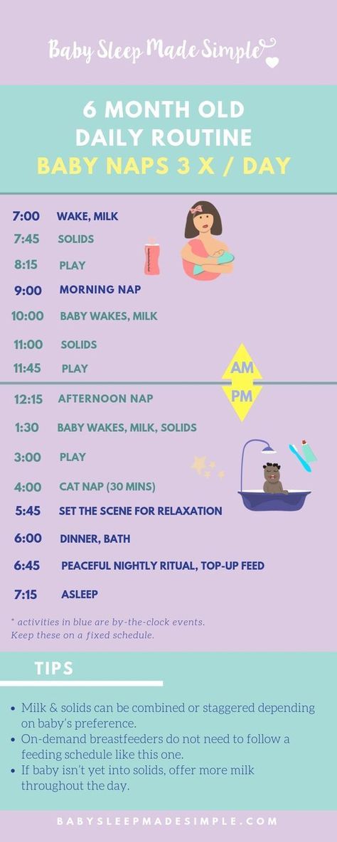 6 Month Sleep Regression, Food Schedule, Baby Food Schedule, Gentle Sleep Training, Healthy Parenting, Baby Feeding Chart, Baby Routine, Baby Schedule, Baby Sleep Schedule