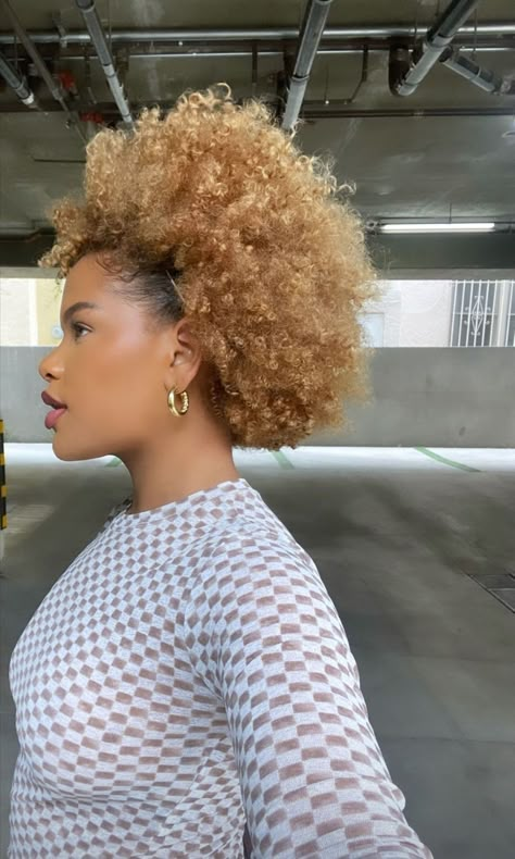 Blonde Type 4 Natural Hair, 4c Natural Hairstyles Short, Alissa Ashley, Blonde Afro, Honey Brown Hair, Hair Scarf Styles, Afro Textured Hair, Protective Hairstyles Braids, Magic Hair