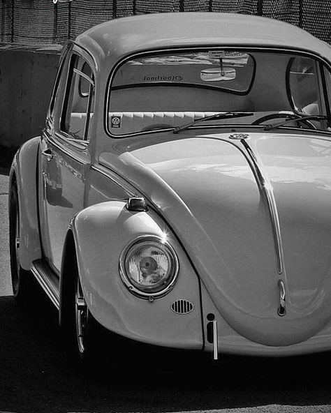 Vw Super Beetle, Volkswagen Aircooled, Hot Vw, Vw Ideas, Vw Sedan, Vintage Vw Bus, Classic Volkswagen, Volkswagen Bug, Vw Aircooled