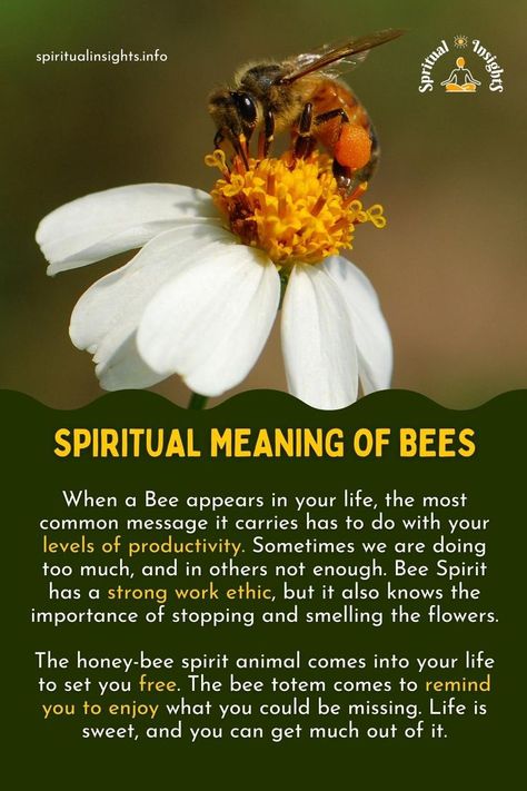 Bees have a very interesting and very intense spiritual meaning for your life! #bees #spiritualinsights #spiritualmeaning #spiritualmessage #spiritualmessages #spiritualsigns Meaning Of Bees, Bee Spiritual Meaning, Spiritual Meaning Of Bees, Bee Spirit Animal, Spirit Animal Meaning, Animal Meanings, Spiritual Animal, Animal Spirit Guides, The Ego