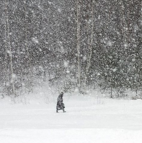 Snow Blizzard Art, Snow Cinematography, Soldier In Snow, Walking In Snow, Snow Inside, Snow In Summer, Snowed In, Dark Winter, Winter Beauty