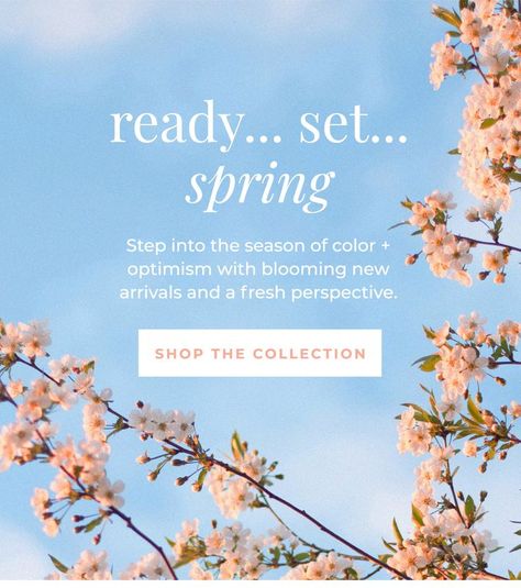 Email design from brand Luca + Danni that says "Ready....set...spring. Step into the season of color + optimism with blooming new arrivals and a fresh perspective. Shop the collection." Background is an image of pink cherry blossoms and a bright blue sky. Email Marketing Design Inspiration, Creative Advertising Design, Email Marketing Template, Email Newsletter Design, Email Design Inspiration, Header Design, Email Marketing Design, Newsletter Design, Elements Of Design