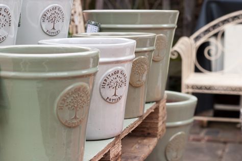 We love these heritage garden pots! They're great for indoors as well as the garden. Heritage Garden Pottery, Homemade Quiche, Afternoon Tea Cakes, Recycling Plant, Garden Privacy, Garden Pottery, Baby Animal Prints, Outdoor Pots, Garden Centre