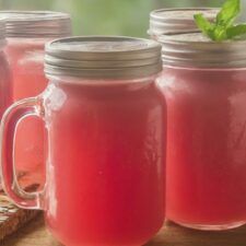 Sour Watermelon Moonshine Recipes, Watermelon Moonshine, Watermelon Moonshine Recipe, Moonshine Cocktails, Grain Alcohol, Frozen Watermelon, Distillation Process, Moonshine Recipes, Fruit Infused