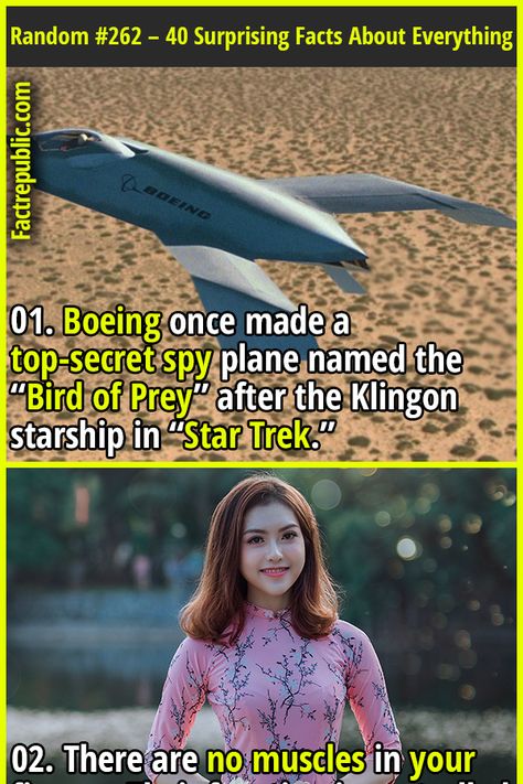 Random Fact Sheet #262 - 40 Surprising Facts About Everything and Anything - Fact Republic Klingon Women, Epic Facts, Odd Facts, Star Trek Klingon, Star Trek Models, Woman Health, Spy Plane, Fact Republic, New Star Trek