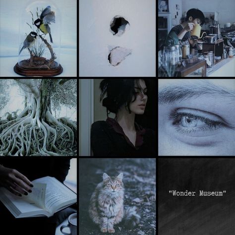 moodboard del libro the hollow places escrito por T. Kingfisher T Kingfisher, The Hollow, Kingfisher, Drawing Tips, In This Moment, Drawings, Books, Art