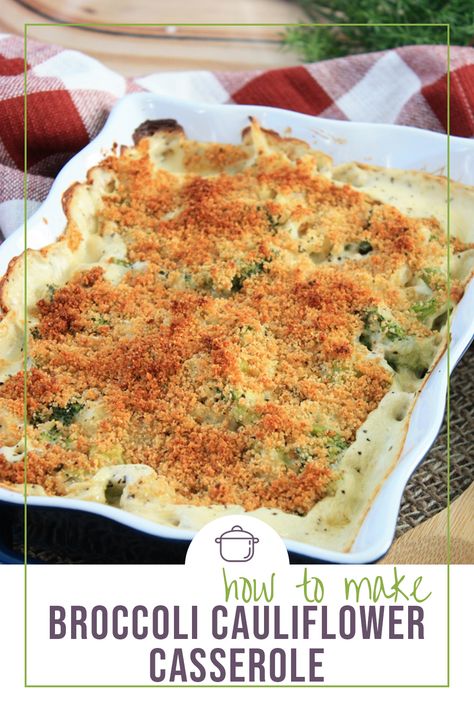 Baked Broccoli Cauliflower Casserole in a white baking dish on a red plaid placemat Ham And Noodle Casserole, Broccoli Cauliflower Casserole, Vegetable Ideas, Pan Dishes, Cauliflower Casserole Recipes, Delicious Broccoli, Broccoli And Cauliflower, Creamy Broccoli, Cheesy Cauliflower