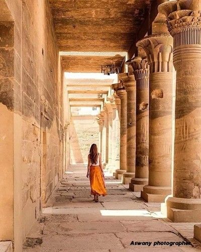 Lonley tree in green cover - ViewBug.com Princess Aestethic, Egypt Photo Ideas, Egypt Clothes, Egypt Inspiration, Sphinx Egyptian, Egypt Photos, Philae Temple, Luxor And Aswan, Places In Egypt