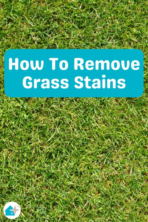 How To Remove Grass Stain From Washable Fabrics How To Remove Grass Stains From Clothes, Grass Stains Out Of Clothes, Canola Plant, How To Remove Grass, Remove Grass Stains, Stain On Clothes, Healthy Activities, Grass Stains, Stain Removal