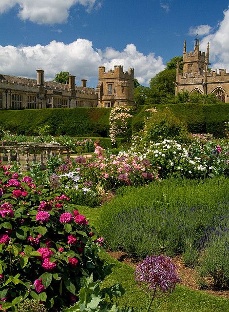 Rose Garden,    Sudeley Castle, Gloucestershire Magic Places, Old Castle, English Castles, Famous Castles, Castle Garden, Garden Rose, Beautiful Castles, Stately Home, English Countryside