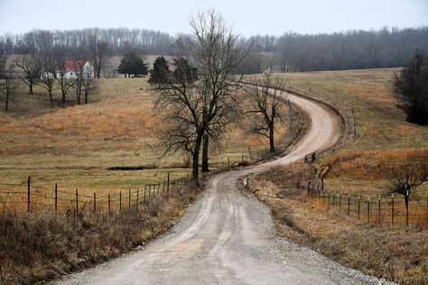 Welcome to the Ozarks, an American region with no single story to tell. Ozarks Missouri, Cheap Land, Color Television, Forty Niners, Missouri State University, Silver Dollar City, Southern Culture, American Story, Ozark Mountains