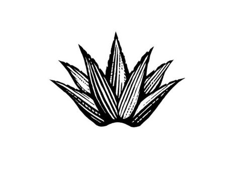 Mezcal Tattoo Ideas, Agave Plant Tattoo Simple, Blue Agave Tattoo, Jalisco Tattoo, Agave Tattoo Cactus Flower, Agave Drawing, Oaxaca Tattoo, Agave Plant Tattoo, Agave Illustration