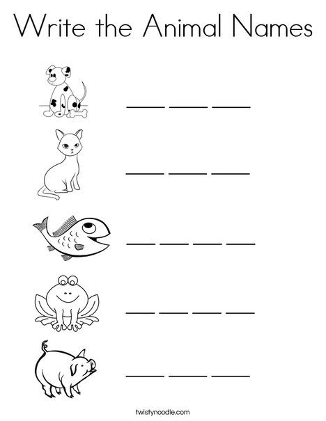 Write the Animal Names Coloring Page - Twisty Noodle Evs Worksheet, Teaching Letter Sounds, Animal Writing, Zoo Animal Coloring Pages, Letter Writing Practice, Animal Alphabet Letters, Coloring Animals, Name Coloring Pages, Name Tracing Worksheets