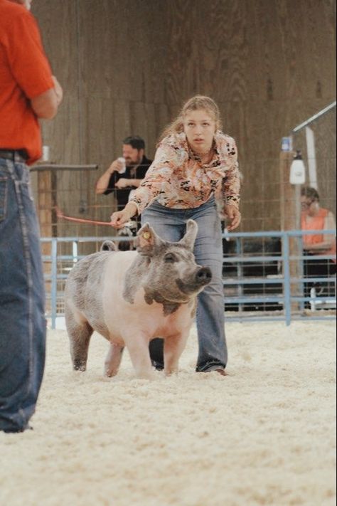 Pig Showing Aesthetic, Ffa Show Pigs, 4h Pigs, Stock Aesthetic, Showing Pigs, Cow Showing, Show Pigs, Western Summer Outfits, Livestock Showing