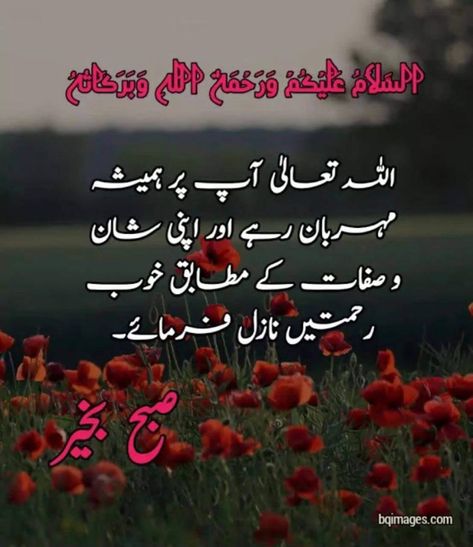 Good Morning Images In Urdu, Good Morning Quotes Urdu, Good Morning In Urdu, Morning Wishes In Urdu, Good Morning Wishes In Urdu, Assalamualaikum Good Morning, R8 Wallpaper, Urdu Good Morning, Urdu Dua