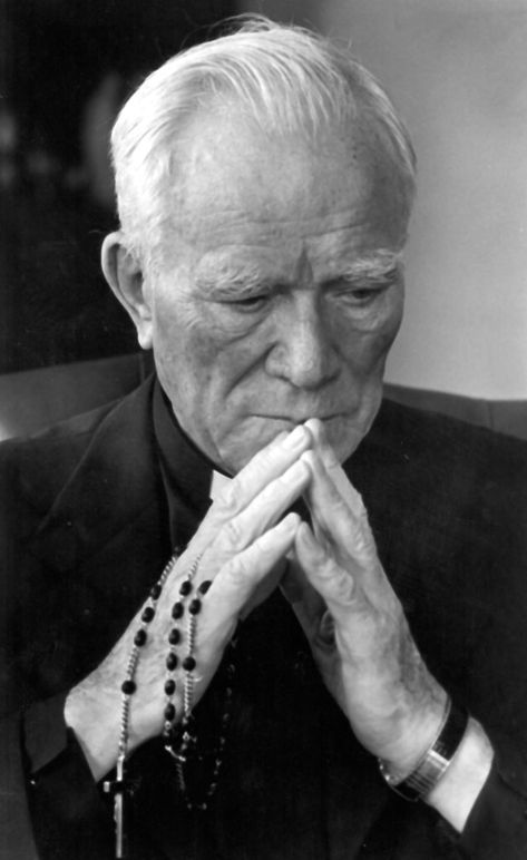 Prayers For Men, Catholic Gentleman, Sister In Heaven, Famous Slogans, Mens Rosary, St John Paul Ii, Praying The Rosary, Holy Rosary, John Paul Ii