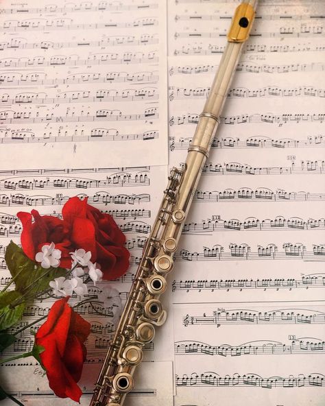 Flute Aesthetic Wallpaper, Flauta Aesthetic, Flute Wallpapers, Flute Aesthetic, Instruments Aesthetic, Transverse Flute, Flute Instrument, Flute Sheet Music, Woodwind Instruments