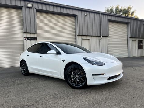 Tesla Model 3 White, White Tesla Model 3, Car Tesla, Tesla Model 3, Coat Black, Dream Car, Tesla Model, Black Interior, Tesla