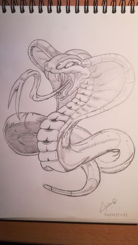 Snakes Design, Drawing Of A Snake, Snakes To Draw, Art Snake, Drawing Of Snake, Drawings Of Snakes, Snake Face Drawing, Snake Eye Drawing, Sketch Snake