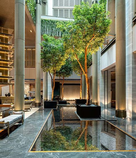 #architecture #interiordesign #interiors #sheraton #shenzhen #luxury #hotel #richlife #rich #design #green #rich Rooftop Amenities, Penthouse Garden, Feature Tree, Column Cladding, Hotel Landscape, Kolam Koi, Hotel Hospitality, Taman Air, Hotel Lobby Design