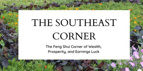 southeast corner of wealth prosperity Money Corner, Wealth Corner, Grow Money, Feng Shui Symbols, Water Symbol, Dutch Home, Money Abundance, Negative Numbers, Interior Decorating Ideas