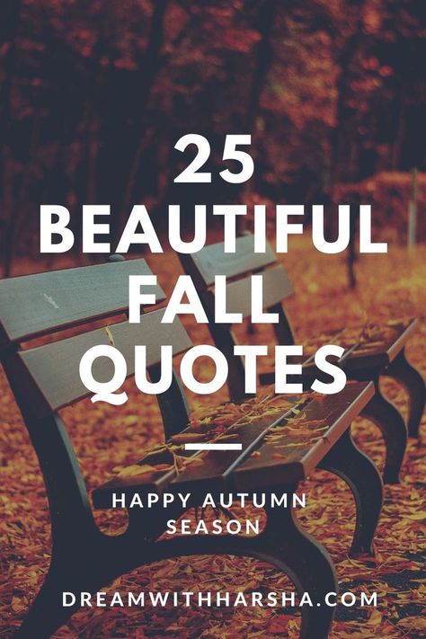 Fall Begins Quotes, Autumn Is Coming Quotes, Autumn Life Quotes, Autumn Mood Cozy Quotes, Every Season Quotes, Fall For You Quotes, Autumn Poems Quote, Rainy Fall Day Quotes, Fall Is My Favorite Season